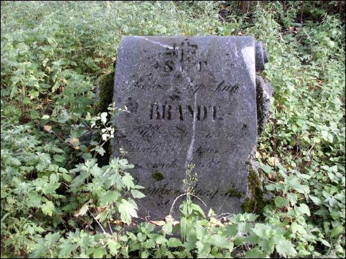  - Cmentarz stary katolicki. Kamień nagrobny - Brandt (imię nieczytelne)