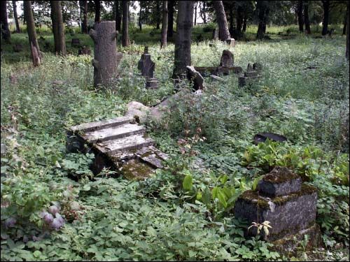  - Cmentarz stary katolicki. Zniszczone nagrobki