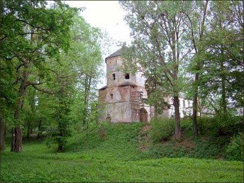 Zamek Radziwiłłów .   -  Zamek Radziwiłłów.