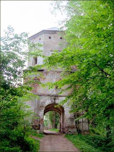 Zamek Radziwiłłów .   -  Zamek Radziwiłłów.