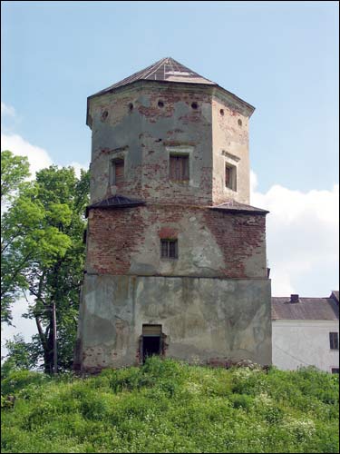 Zamek Radziwiłłów .   -  Zamek Radziwiłłów.
