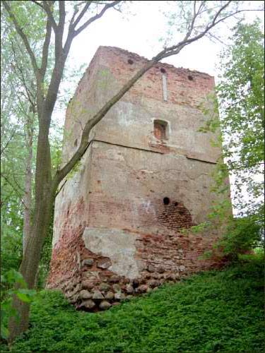 Zamek Radziwiłłów .   -  Zamek Radziwiłłów.