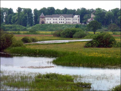 Zamek Radziwiłłów .   -  Zamek Radziwiłłów.
