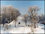 Navahrudak.   Adam Mickievič mound