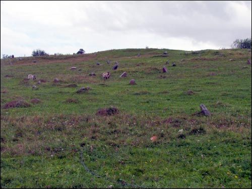 - Могілкі габрэйскія. Фрагмент могілак