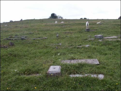 Nowogródek. Cmentarz żydowski