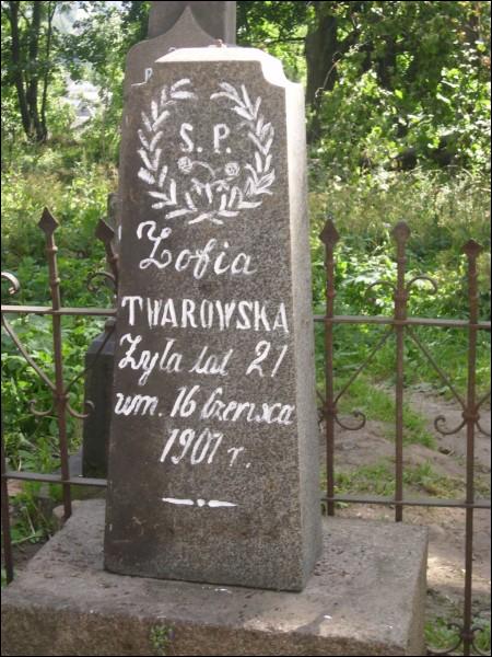 Nowogródek. Cmentarz stary chrześcijański