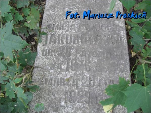 Навагрудак. Могілкі татарскія (Мізар)