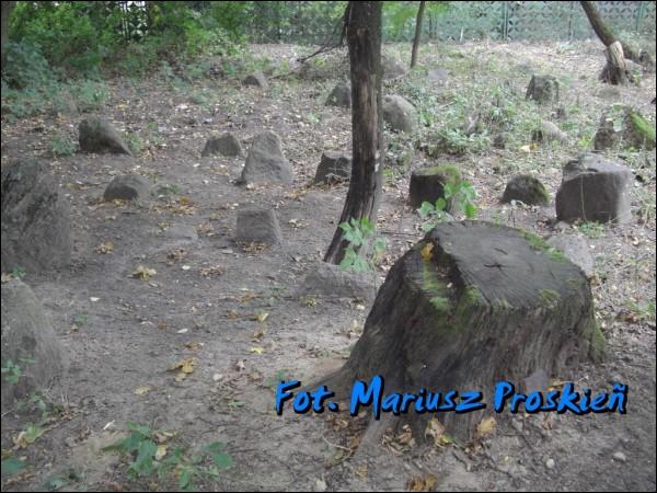 Навагрудак. Могілкі татарскія (Мізар)