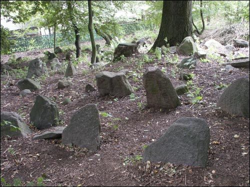 Nowogródek. Cmentarz tatarski (Mizer)