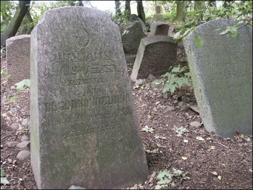 Nowogródek. Cmentarz tatarski (Mizer)