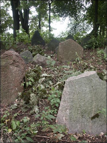 Навагрудак. Могілкі татарскія (Мізар)