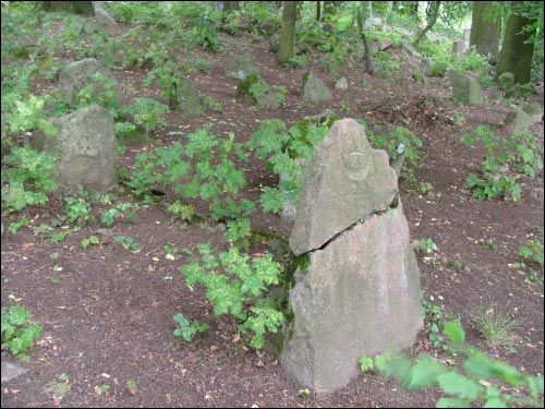 Навагрудак. Могілкі татарскія (Мізар)