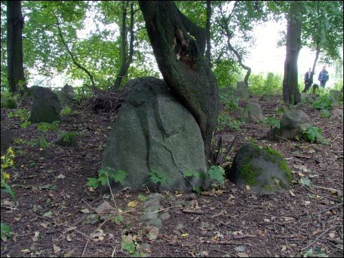 Навагрудак. Могілкі татарскія (Мізар)