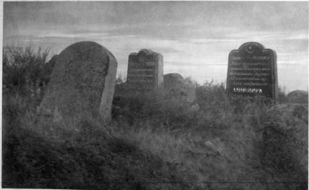 Навагрудак. Могілкі татарскія (Мізар)