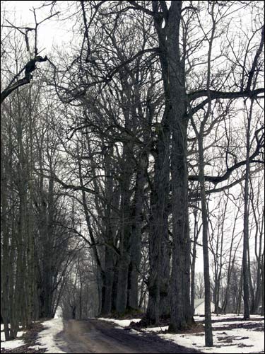  - Zespół dworsko-parkowy O'Rourke. 