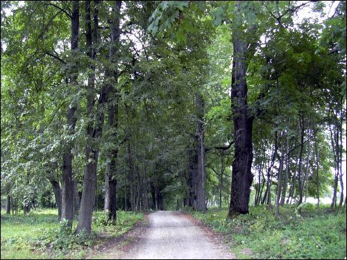  - Zespół dworsko-parkowy O'Rourke. 