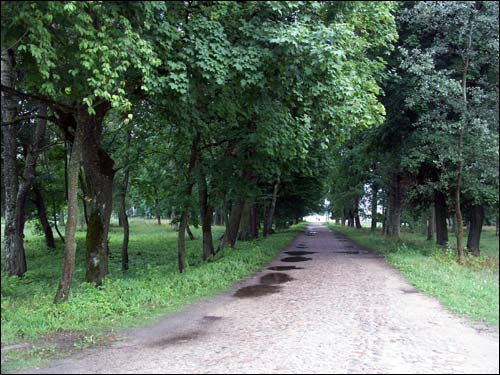  - Estate of Pusłowski. Alley in the park