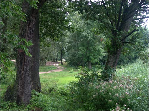  - Estate of Pusłowski. Fragment of the park