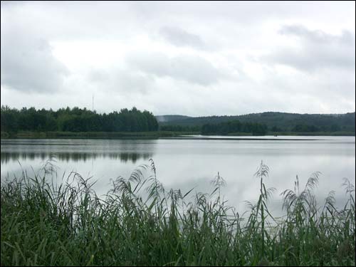 - Estate of Pusłowski. Pond