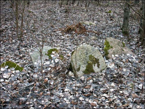 Крево. Кладбище еврейское