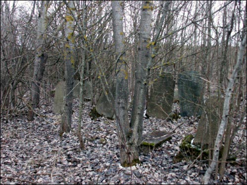 Крэва. Могілкі габрэйскія