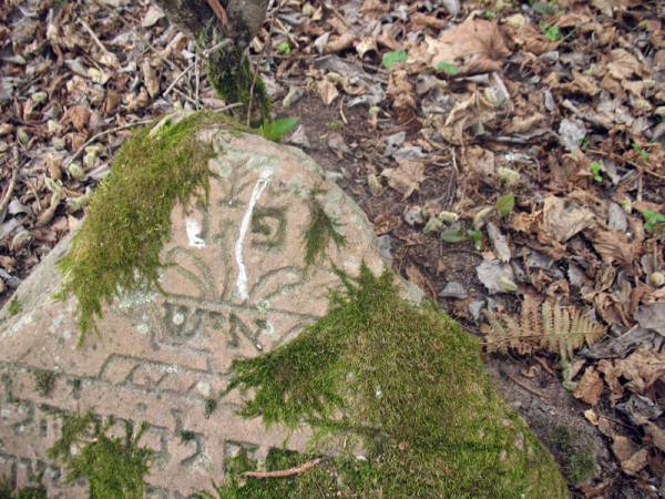 Крэва. Могілкі габрэйскія