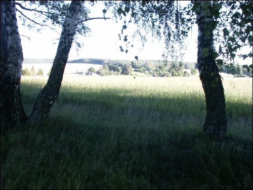 Кушляны. Краявіды 