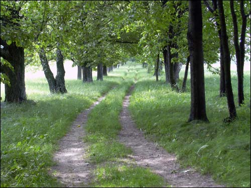 Кушляны. Краявіды 