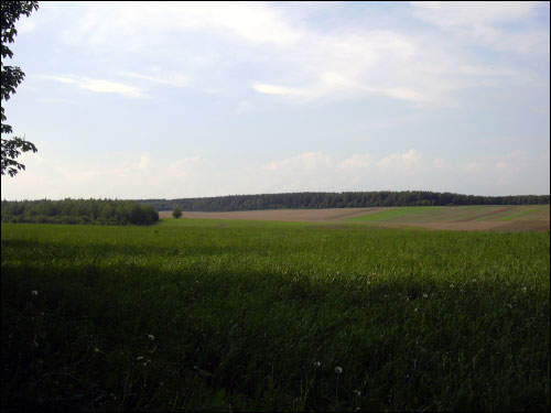 Кушляны. Краявіды 