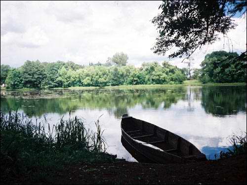  - Zespół pałacowo-parkowy Ogińskich. Sadzawka