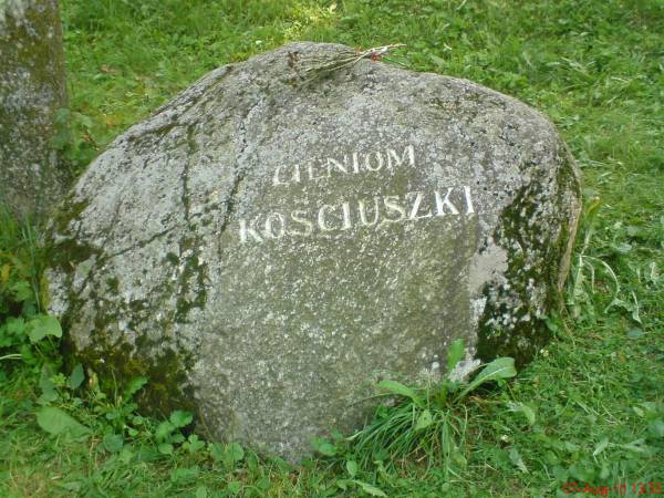  - Zespół pałacowo-parkowy Ogińskich. 