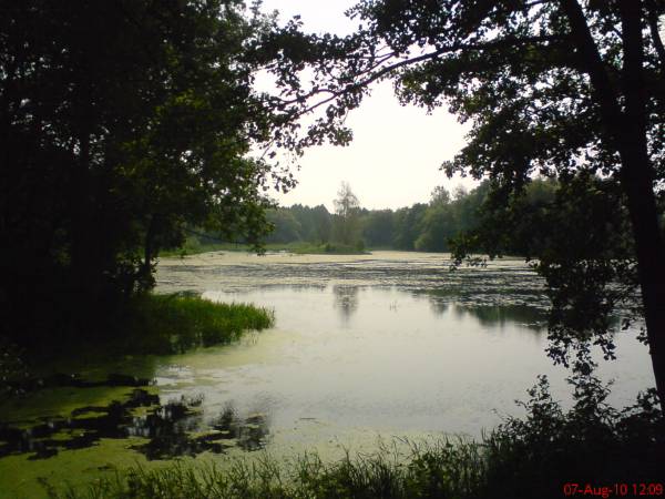 - Zespół pałacowo-parkowy Ogińskich. 