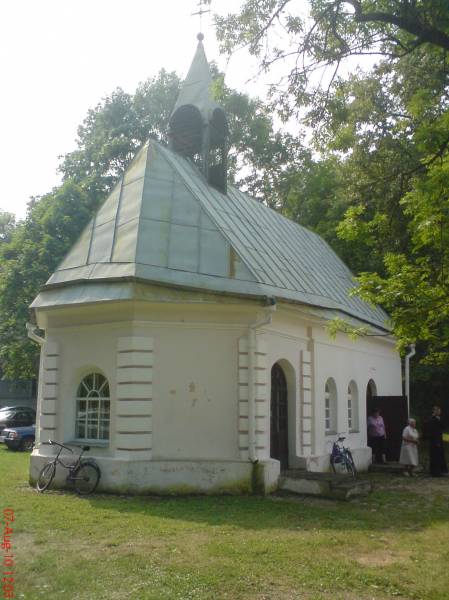  - Zespół pałacowo-parkowy Ogińskich. 