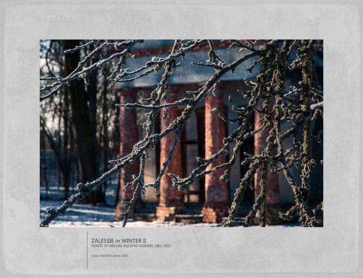  - Zespół pałacowo-parkowy Ogińskich. 