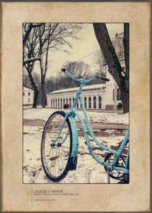  - Zespół pałacowo-parkowy Ogińskich. 