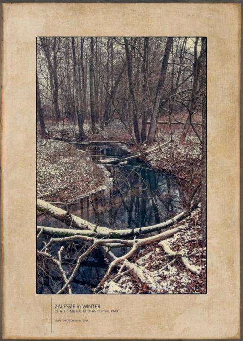  - Zespół pałacowo-parkowy Ogińskich. 