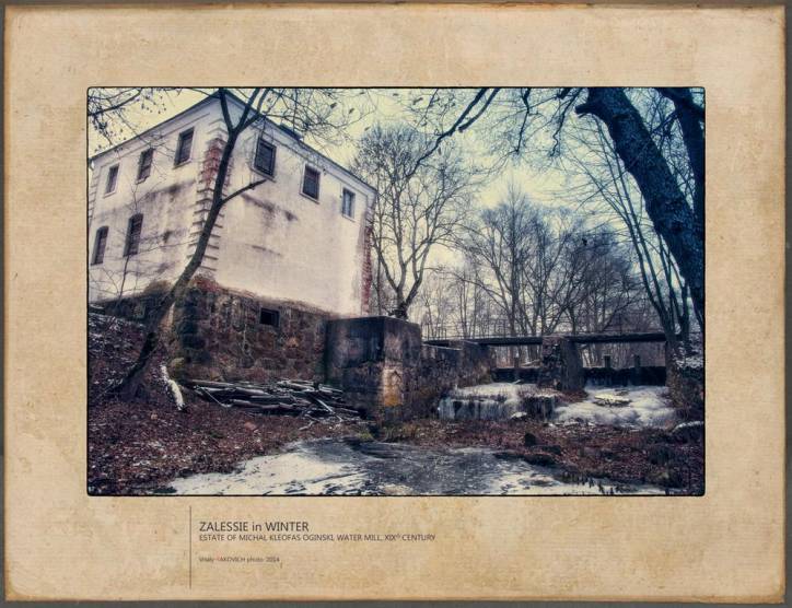  - Zespół pałacowo-parkowy Ogińskich. 