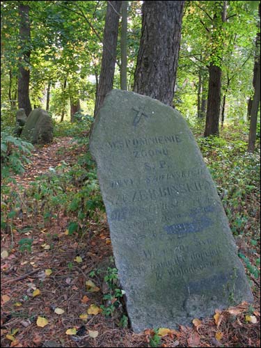 Zalessie. cemetery Old Catholic