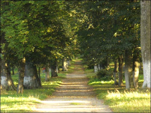 Svisłač. Manor park of the Tyškievič former Manor-place