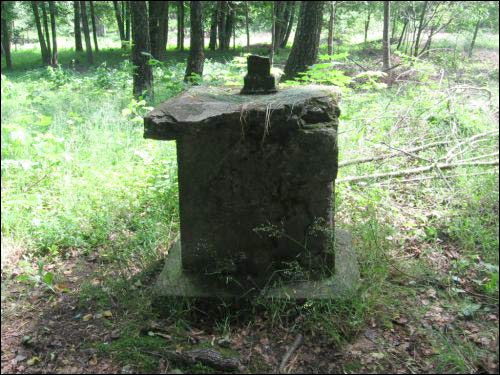  - Park dworski Tołłoczków. Zniszczony krzyż