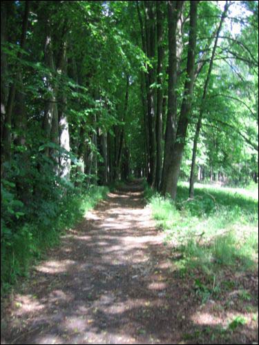  - Park dworski Tołłoczków. Apeja