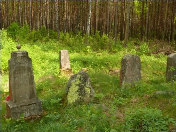 Vasiliški. Tatarian Cemetery 