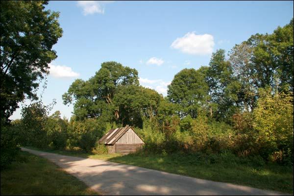 Ciešaŭla. Manor park of the Stankievič former Manor-place
