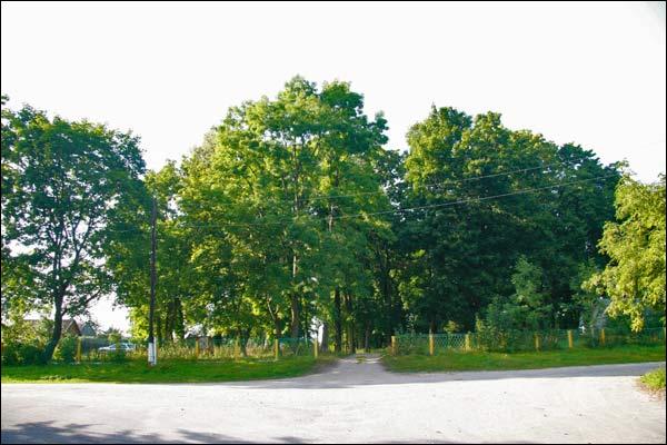 Ciešaŭla. Manor park of the Stankievič former Manor-place