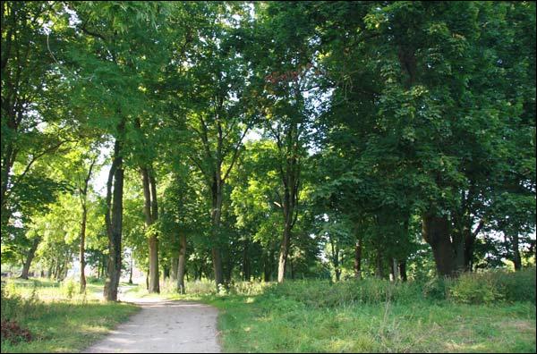Ciešaŭla. Manor park of the Stankievič former Manor-place