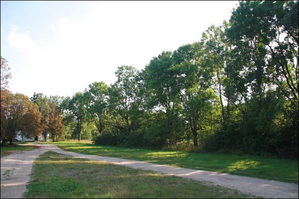 Ciešaŭla. Manor park of the Stankievič former Manor-place