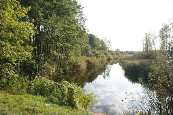 Ciešaŭla. Manor park of the Stankievič former Manor-place