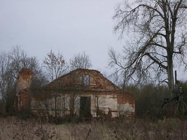 Turły (Lahaŭcy). Manor of Kotwicz