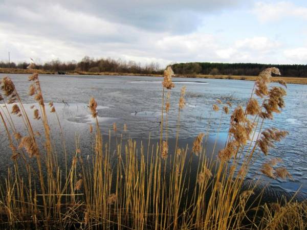 Łaŭcy.  Landscapes 
